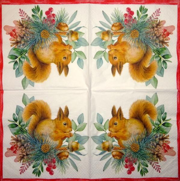 020 Eichhörnchen - 3-ply - Ambiente